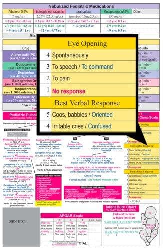 Tapa de Pediatric Drug Chart