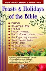 Tapa de Feasts & Holidays of the Bible