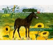 Tapa de What's All the Fuss?