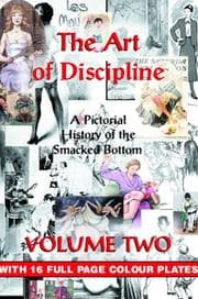 Tapa de Art of Discipline Volume Two
