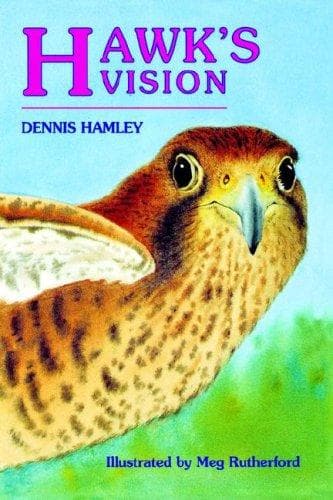 Tapa de Hawk's Vision