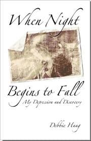 Tapa de When Night Begins to Fall