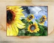 Tapa de Sunflowers Sketch Book