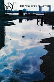 Tapa de The New York Quarterly, Number 29