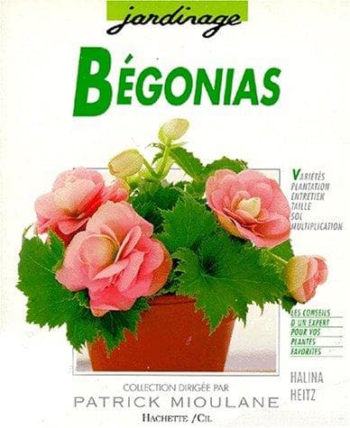 Tapa de Bégonias