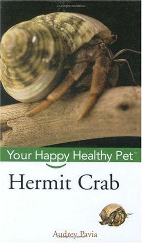 Tapa de Hermit Crab