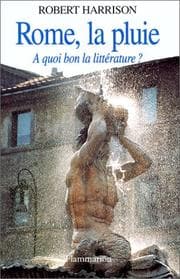 Tapa de Rome, la pluie