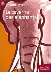 Tapa de La caverne des éléphants