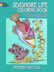 Tapa de Seashore Life Coloring Book