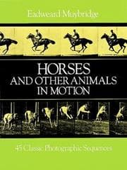Tapa de Horses and other animals in motion