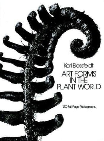 Tapa de Art forms in the plant world