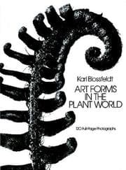 Tapa de Art forms in the plant world