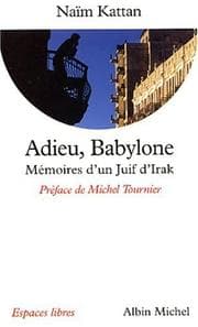 Tapa de Adieu Babylone