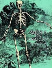 Tapa de Albinus on anatomy