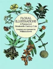 Tapa de Floral illustrations