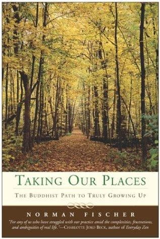 Tapa de Taking Our Places