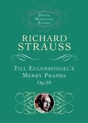 Tapa de Till Eulenspiegel's Merry Pranks
