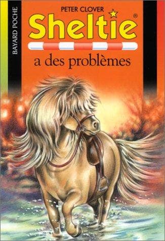 Tapa de Sheltie a des problèmes