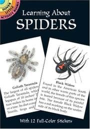 Tapa de Learning About Spiders (Learning about Books