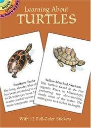 Tapa de Learning About Turtles (Learning about Books