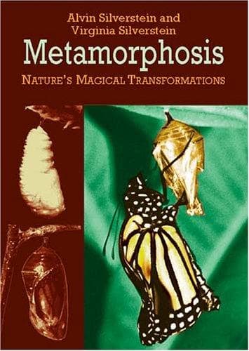 Tapa de Metamorphosis