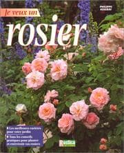Tapa de Je veux un rosier