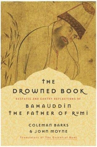 Tapa de The Drowned Book