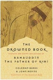 Tapa de The drowned book