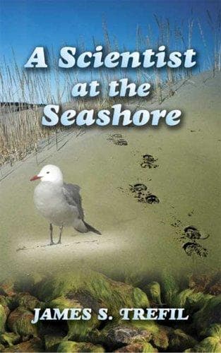 Tapa de A Scientist at the Seashore