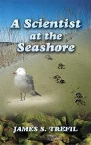 Tapa de A Scientist at the Seashore
