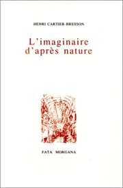 Tapa de L'Imaginaire d'après nature