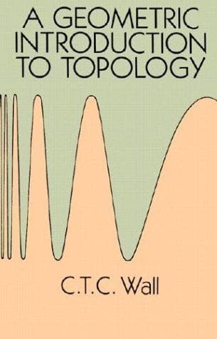 Tapa de A geometric introduction to topology
