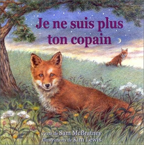 Tapa de Je ne suis plus ton copain