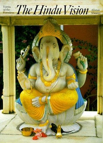 Tapa de The Hindu vision