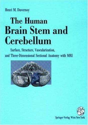 Tapa de The Human Brain Stem And Cerebellum