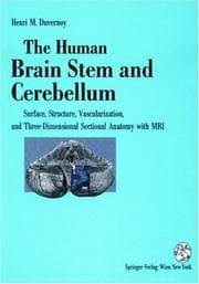 Tapa de The Human Brain Stem And Cerebellum