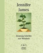 Tapa de Zwanzig Schritte zur Weisheit. Eine Anleitung zu Selbsterkenntnis und geistigem Wohlbefinden