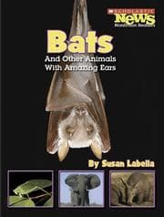 Tapa de Bats And Other Animals With Amazing Ears
