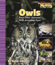 Tapa de Owls And Other Animals With Amazing Eyes