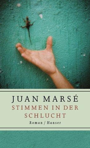 Tapa de Stimmen in der Schlucht.