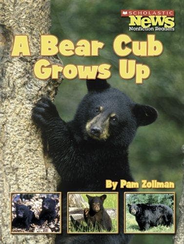 Tapa de A Bear Cub Grows Up