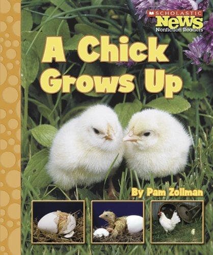 Tapa de A Chick Grows Up