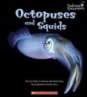 Tapa de Octopus and Squid (Undersea Encounters)