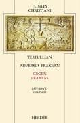 Tapa de Fontes Christiani, 2. Folge, 25 Bde., Kt, Bd.34, Gegen Praxeas