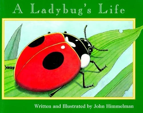 Tapa de A Ladybug’s Life