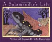 Tapa de A Salamander’s Life