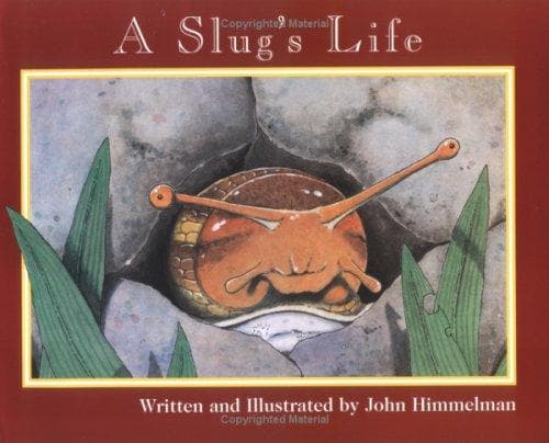 Tapa de A Slug’s Life