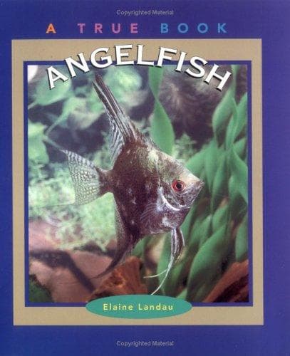 Tapa de Angelfish
