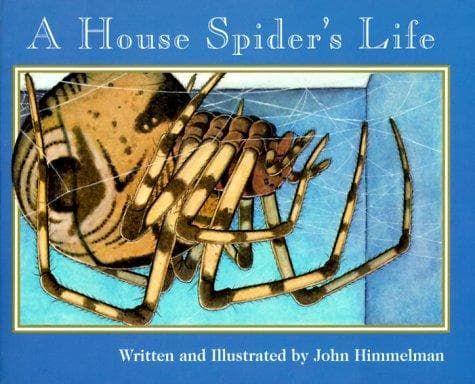 Tapa de A House Spider’s Life