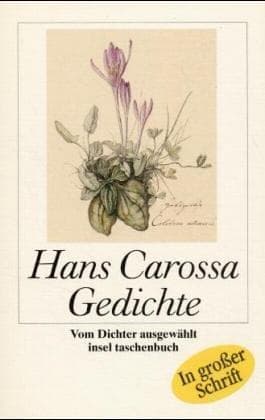 Tapa de Gedichte. Großdruck